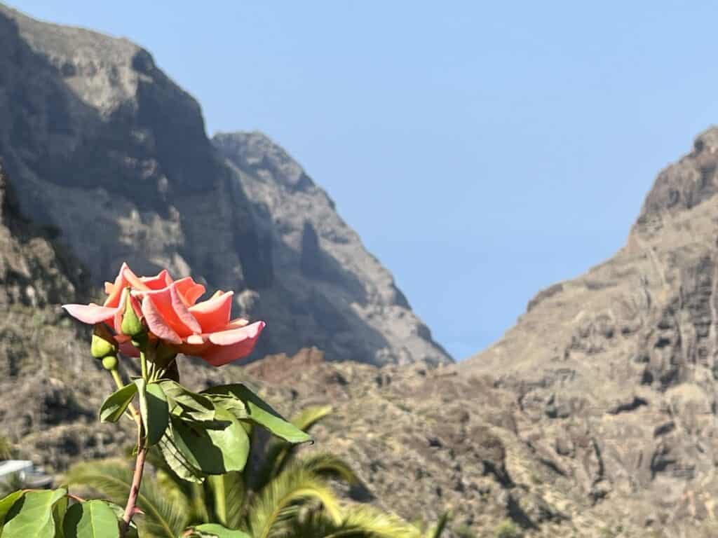 Masca