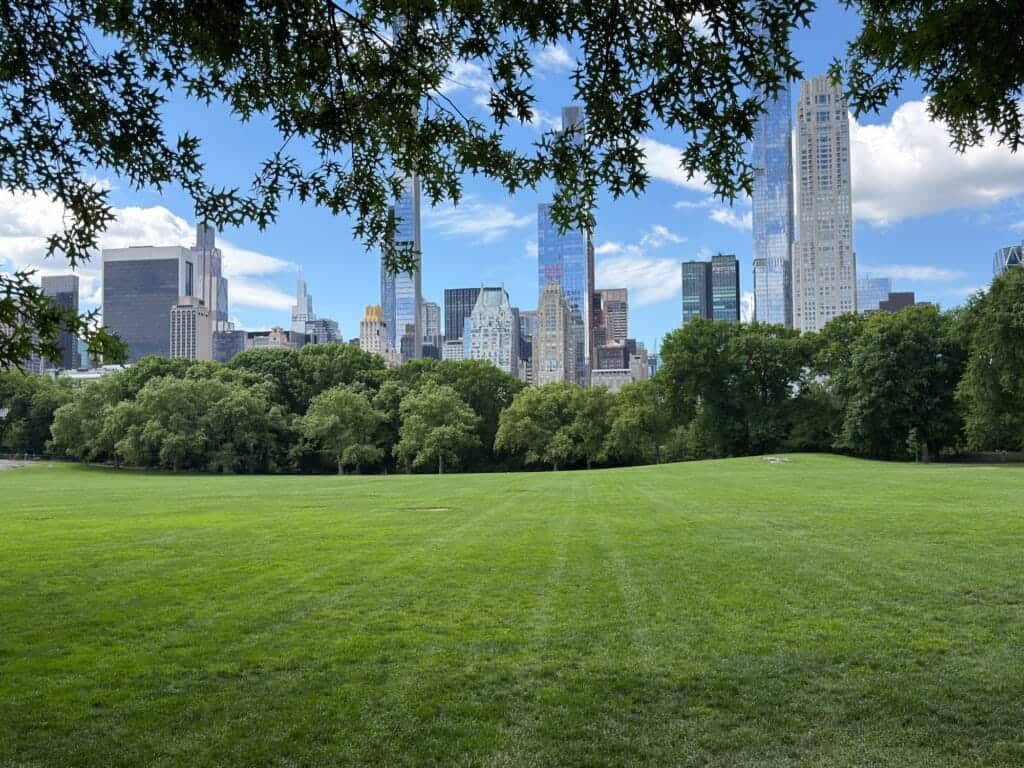 Widok na Manhattan z Central Parku jako obowiązkowy punkt plan zwiedzania nowego jorku.