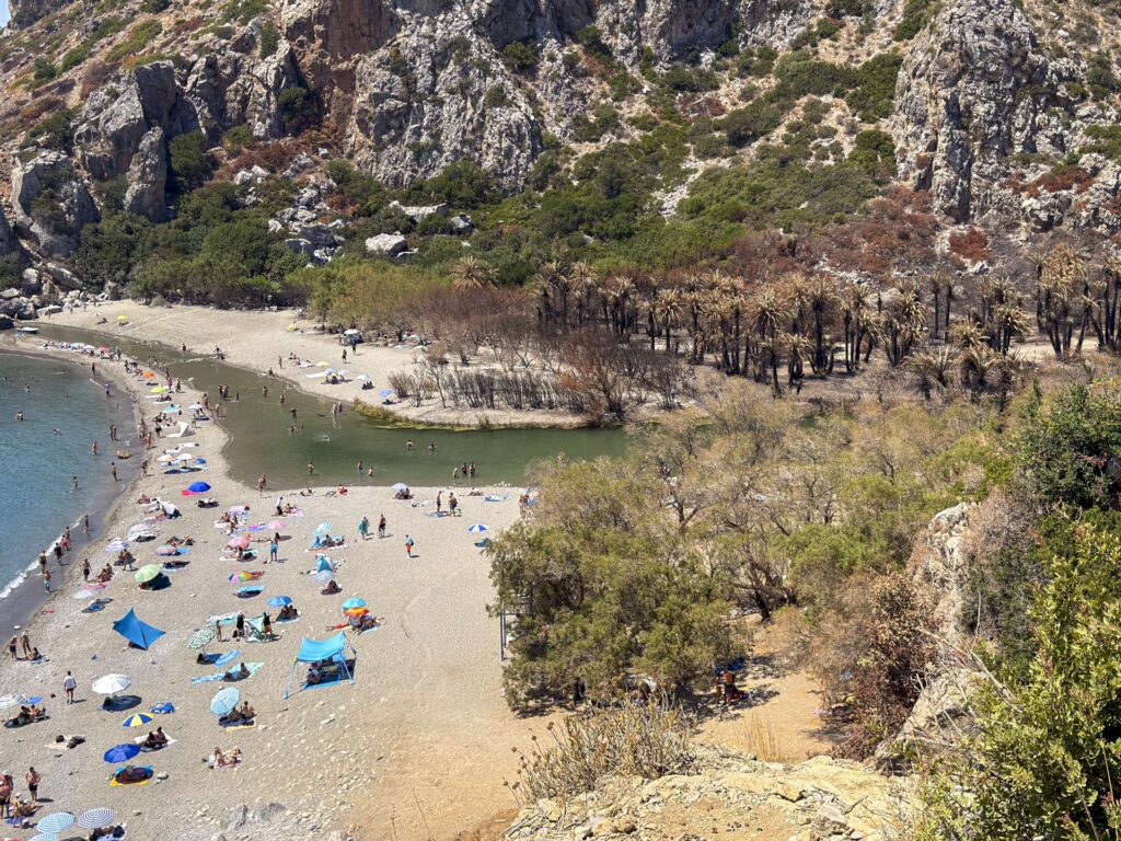 Widok z góry na plażę i las palmowy Preveli po pożarze